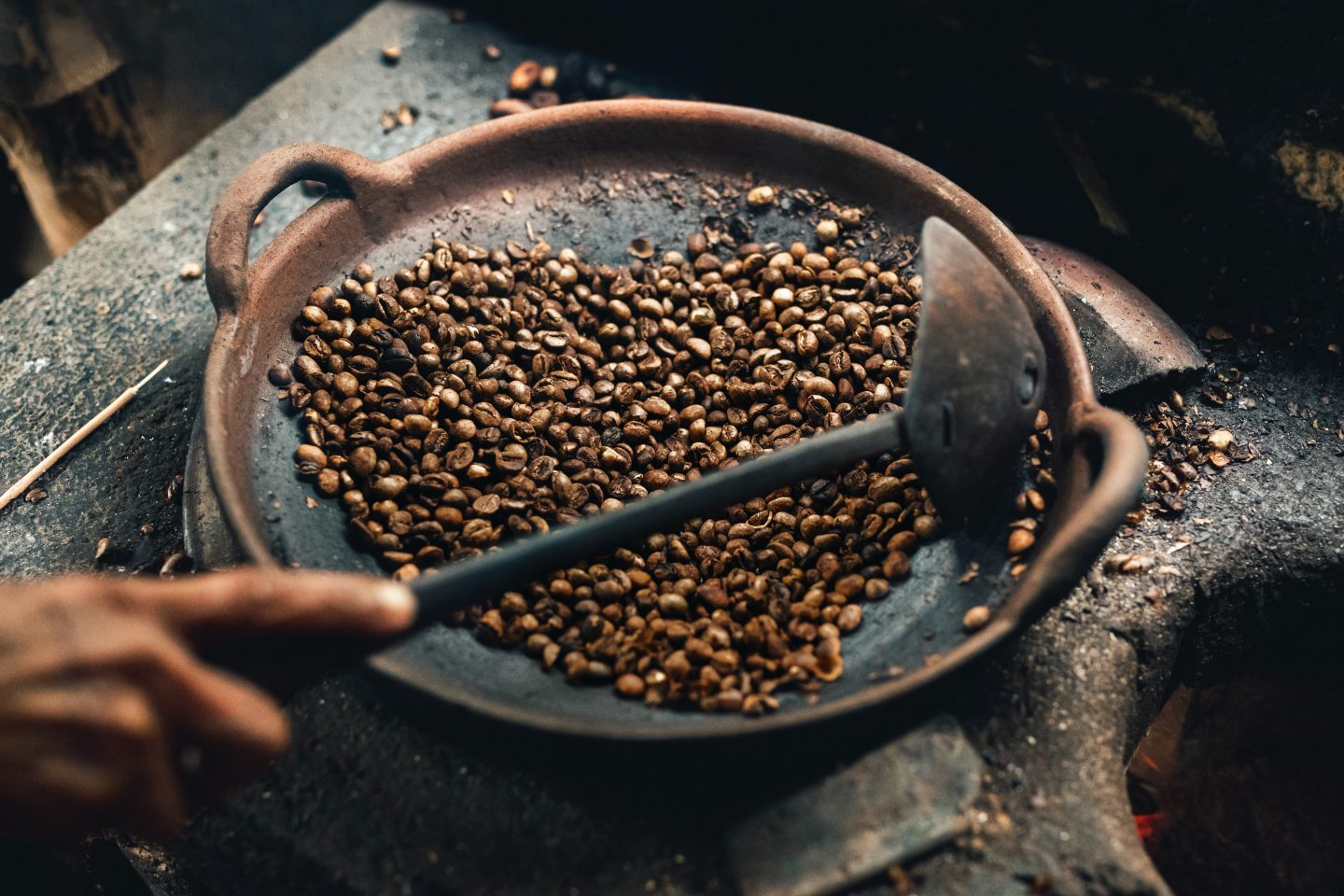 Kopi Luwak 6 Fun Facts About The Most  Expensive  Coffee  