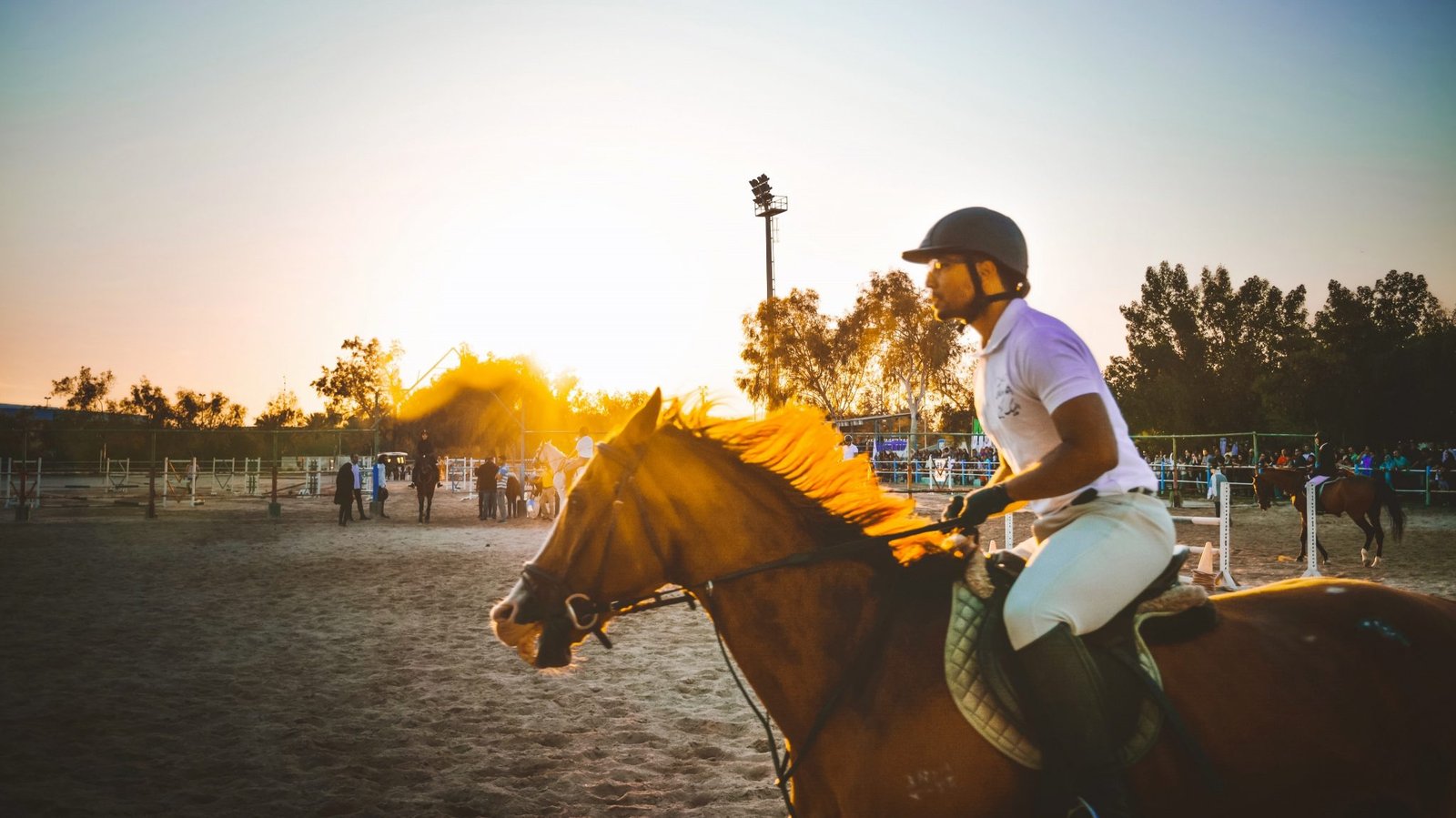 Top Equestrian Brands On The Market In 2020