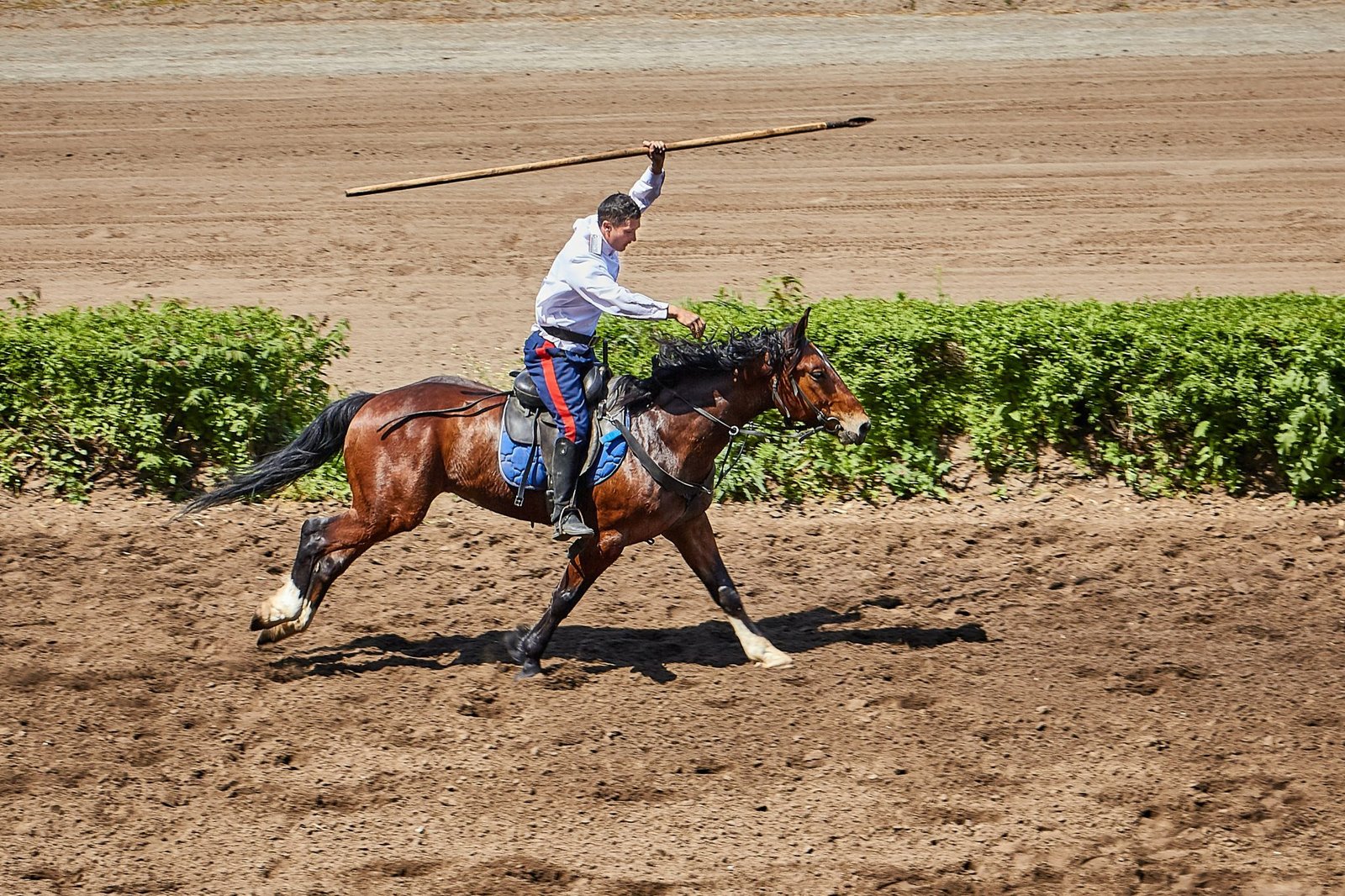 Top Equestrian Brands On The Market In 2020 | The Fox Magazine