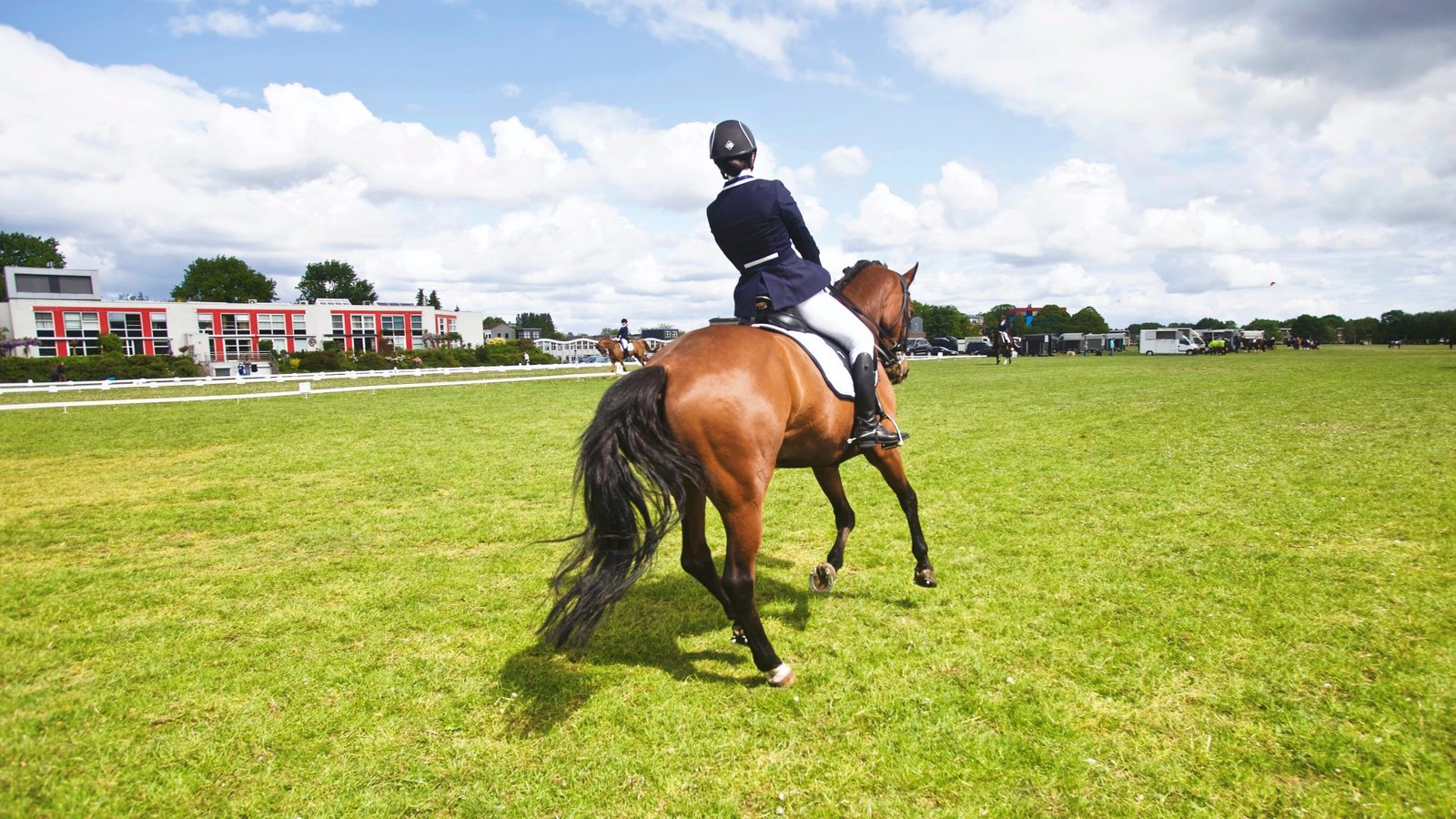 Top Equestrian Brands On The Market In 2020 | The Fox Magazine