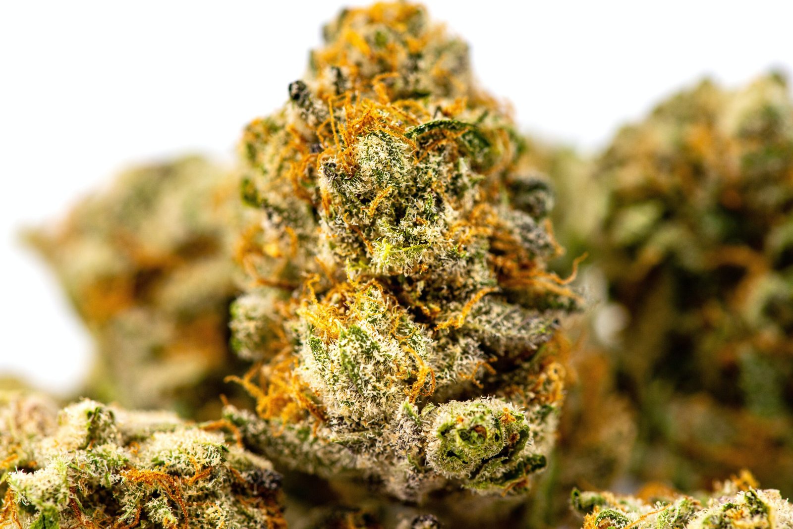 Getting The Most Out Of Cannabis Trichomes - RQS Blog