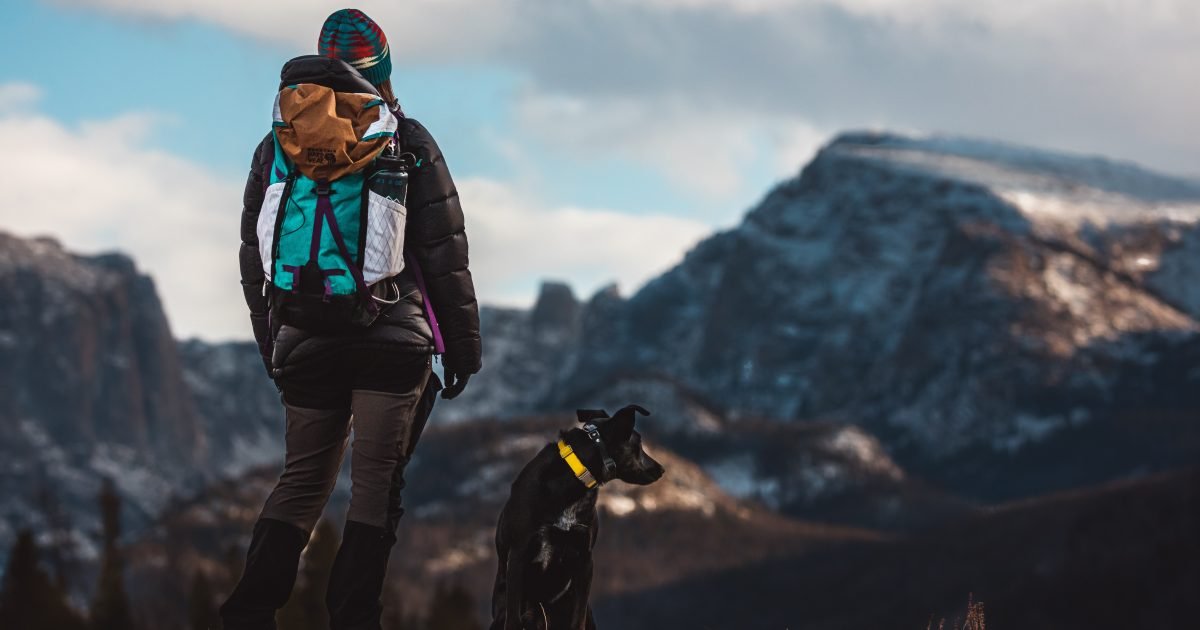 Top DogFriendly Hikes In The USA 2022 The Fox Magazine
