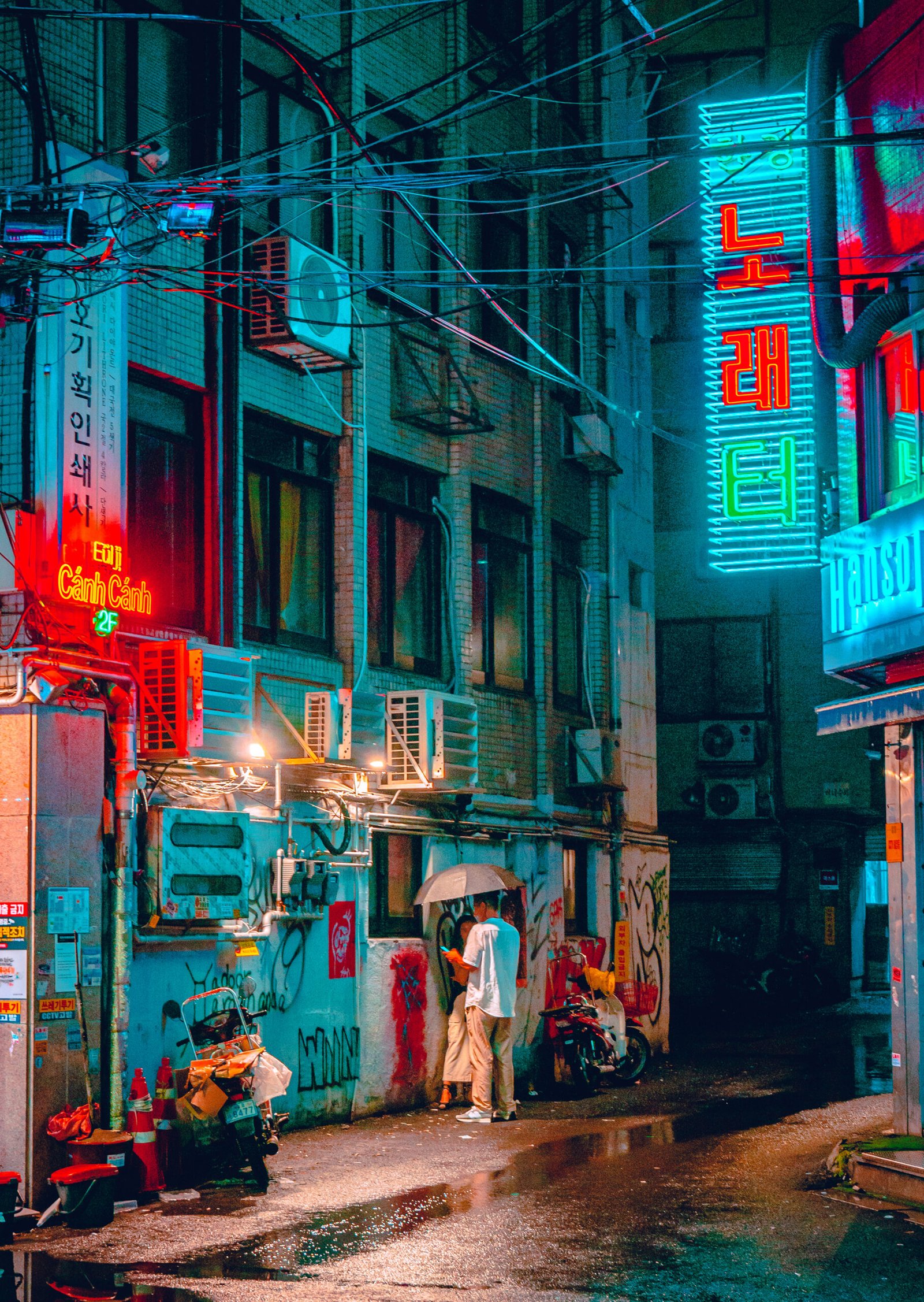 Neon-Soaked Streets | The Fox Magazine