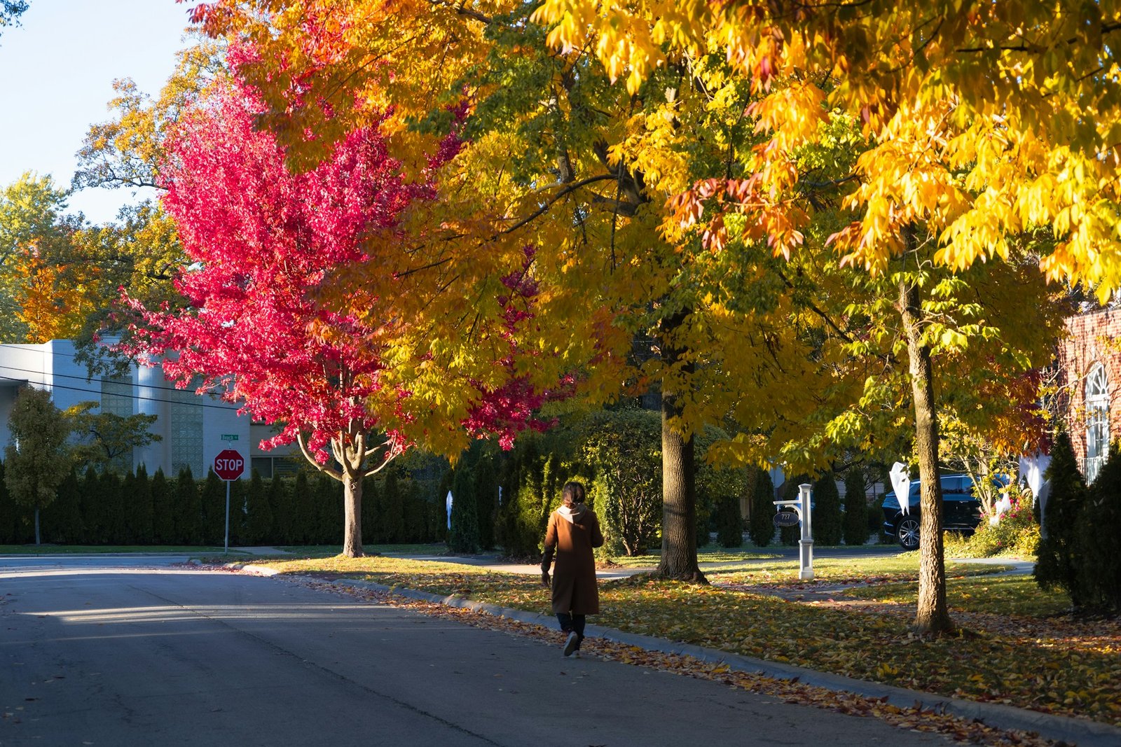 Woman in a cozy fall outfit walking on a leafy street